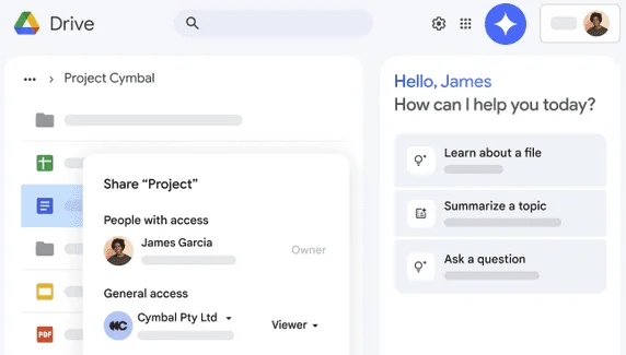 Google Drive with the Share "Project" dialog open and a Gemini side panel offering to summarize or answer questions
