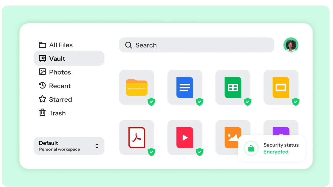 Drime file manager with the Vault open, files marked as protected and a security status reading Encrypted