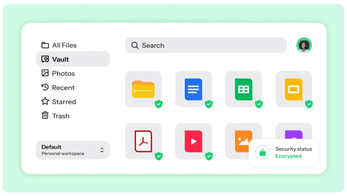 Drime file manager with the Vault open, files marked as protected and a security status reading Encrypted