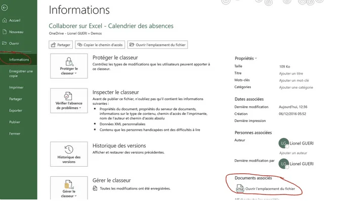 Volet Informations d'Excel pour un classeur stocké sur OneDrive, avec Partager et « Ouvrir l'emplacement du fichier » entouré